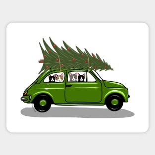 Bringing Home the Christmas Tree Green Magnet